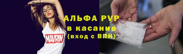 индика Абаза