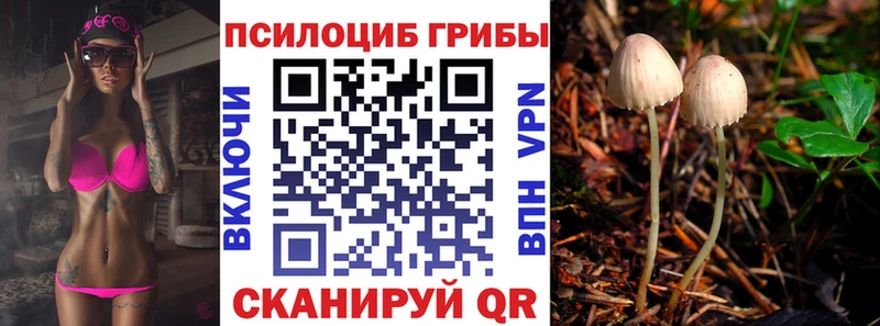 купить наркоту  Энгельс  Псилоцибиновые грибы прущие грибы 